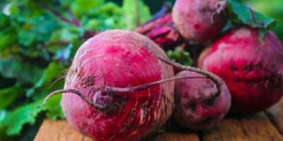 CHOPPED RED BEET SALAD