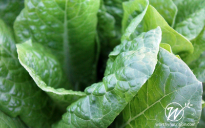 The Blood Sugar Balance Bop