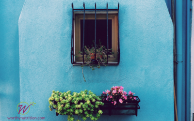 Home Is Where The WHAT Is??