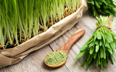 Microgreens Are Nutritional Power Houses