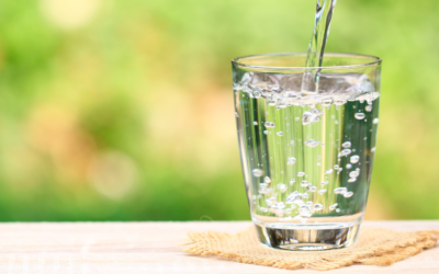 Water is an Essential Part of Everyday Health