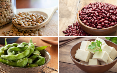 BEST PROTEIN SOURCES FOR VEGETARIANS – PART 1